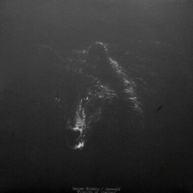 Semper Fidelis / Werewolf – Fidelity Of Ideology EP
